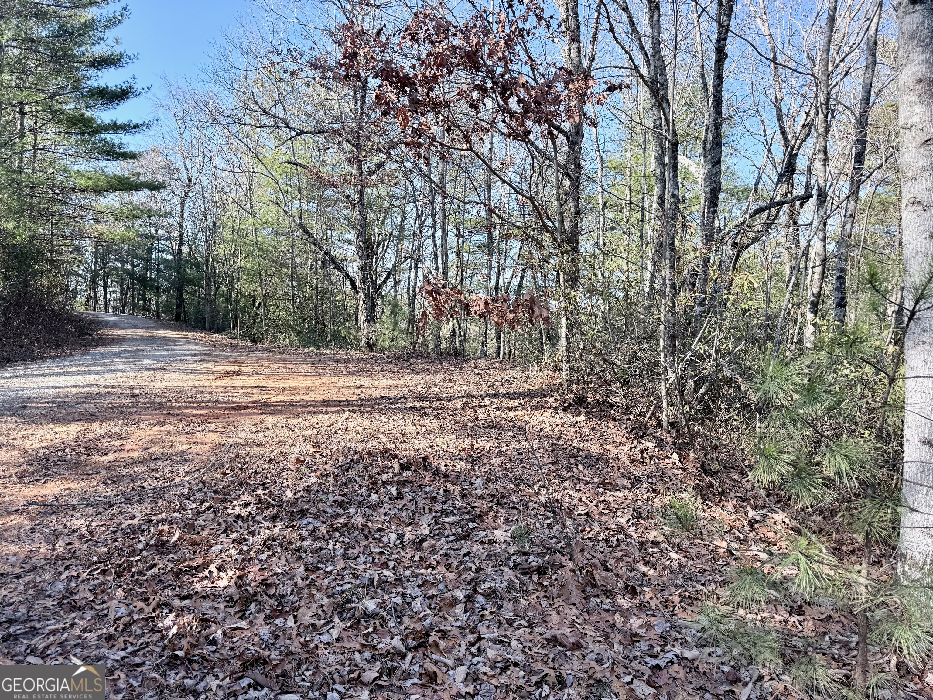 0 Rabun Bluffs Drive Property Photo 2