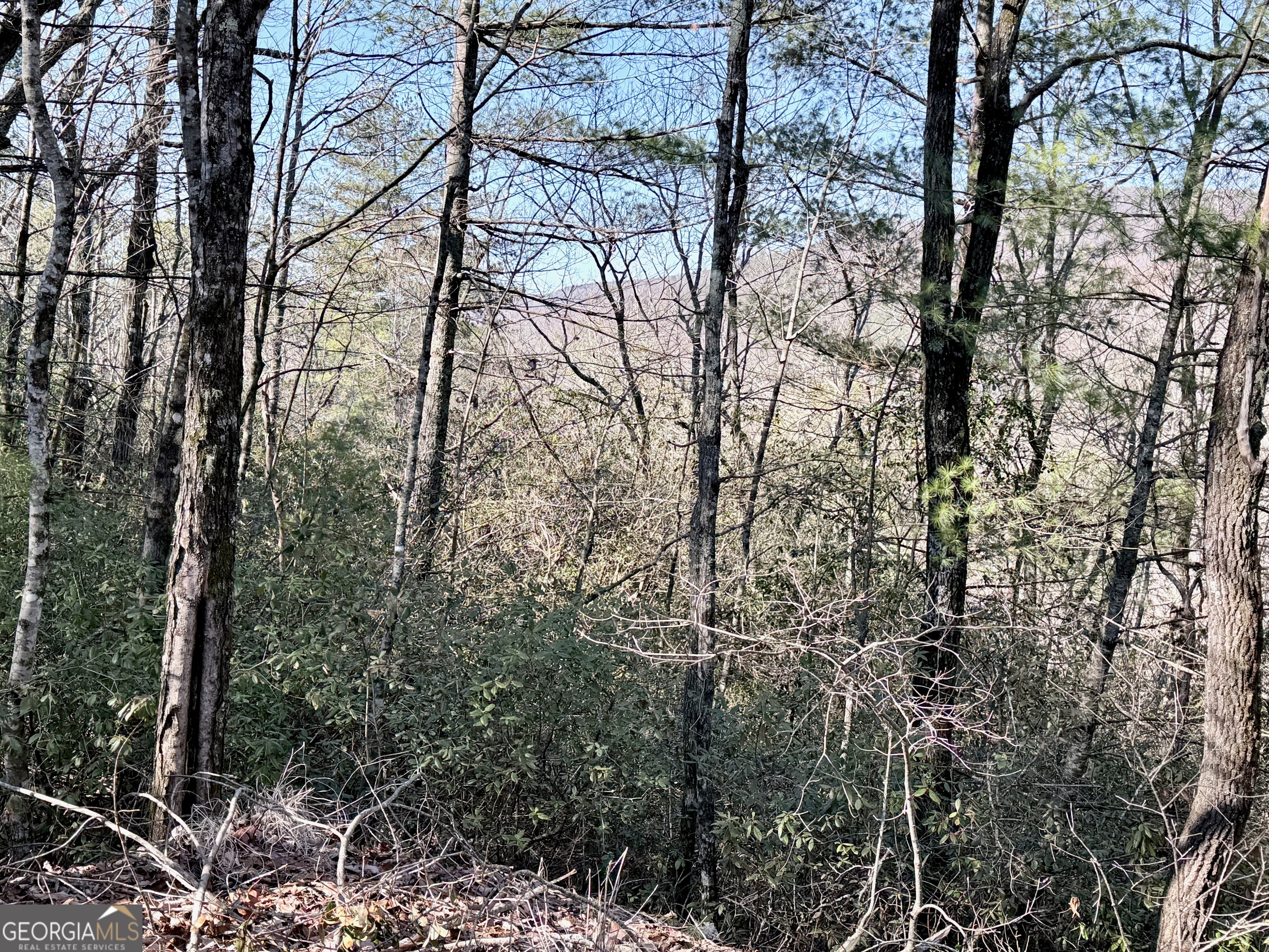 0 Rabun Bluffs Drive Property Photo 3