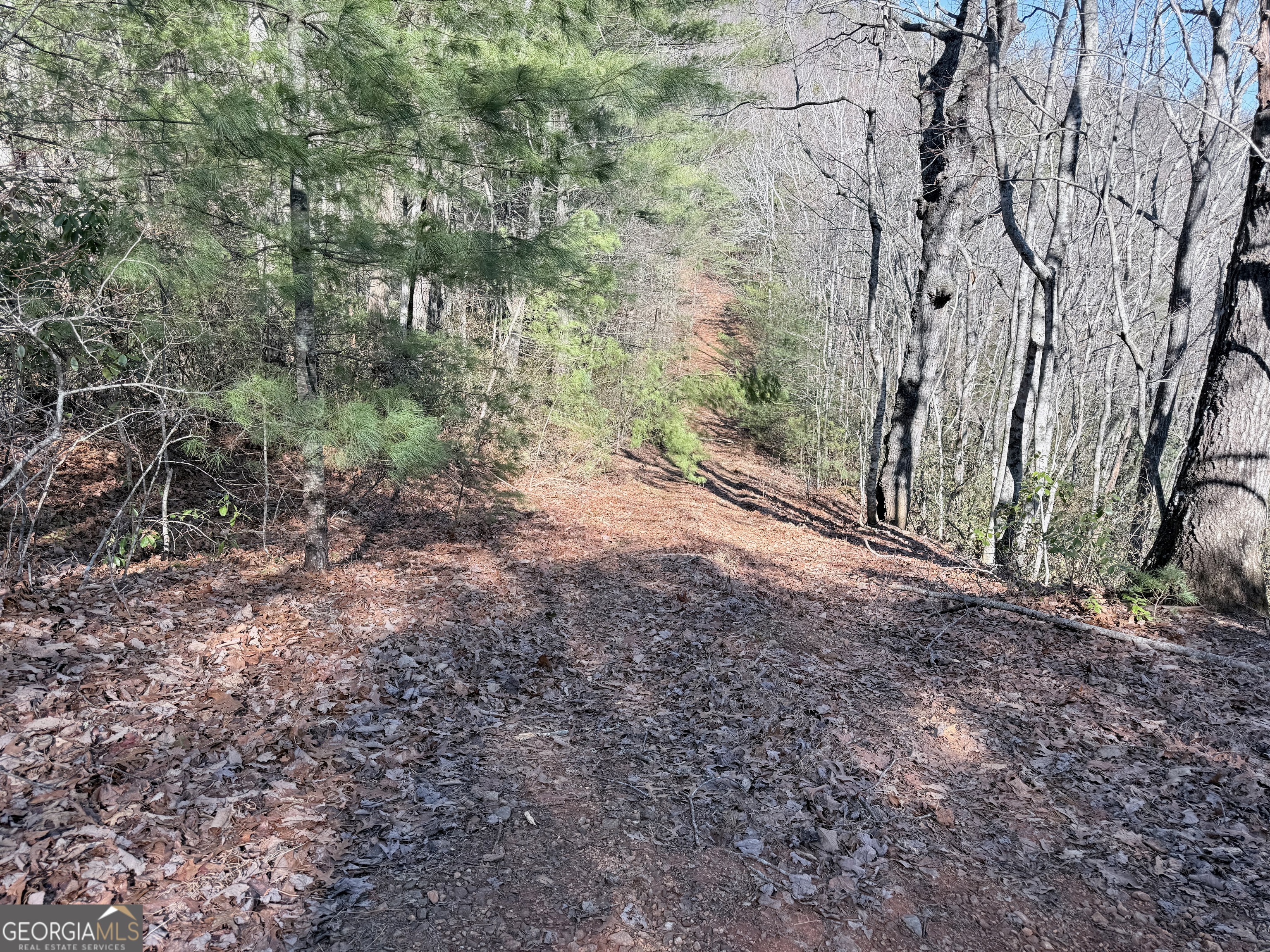 0 Rabun Bluffs Drive Property Photo 4