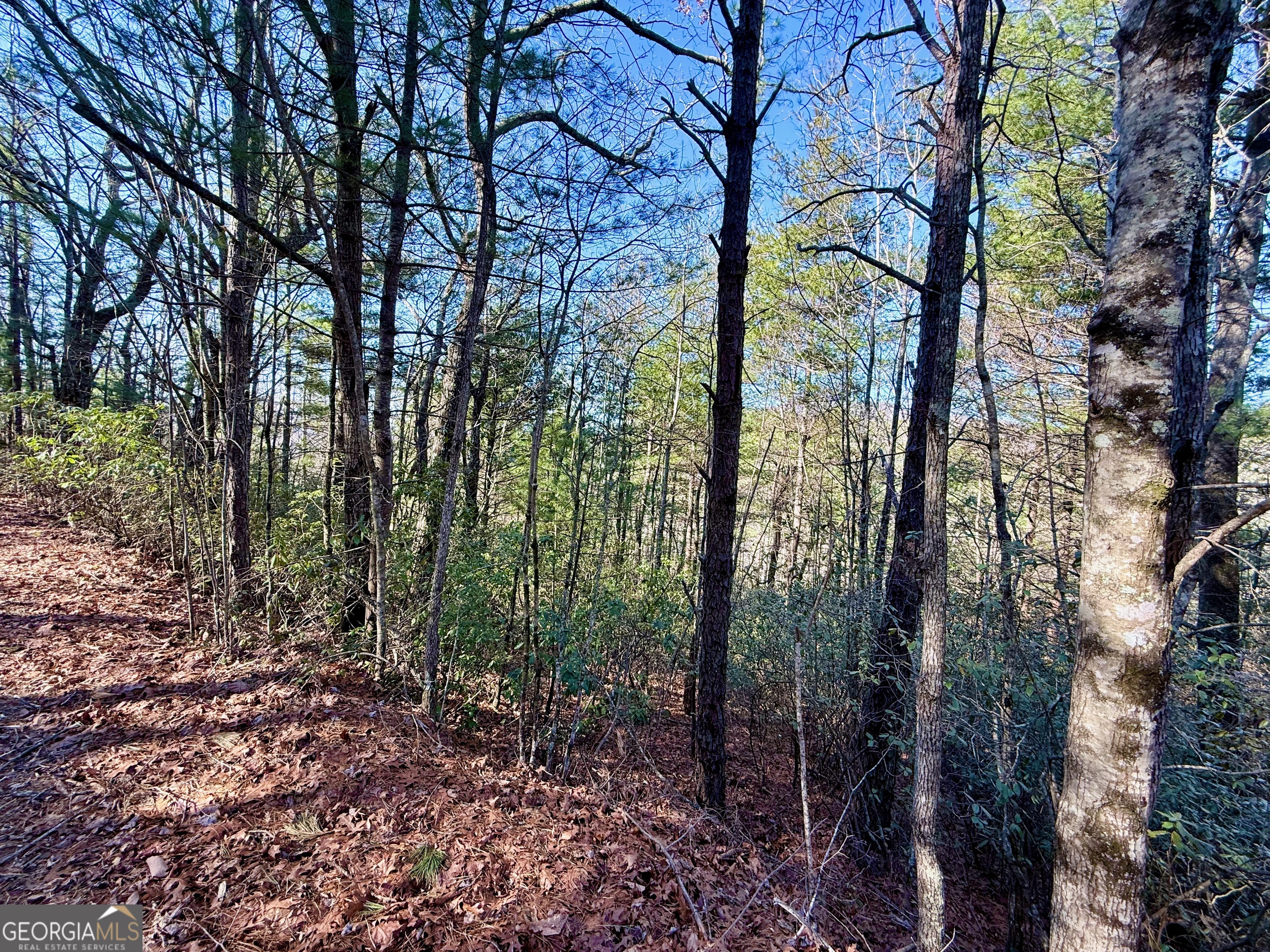 0 Rabun Bluffs Drive Property Photo 5