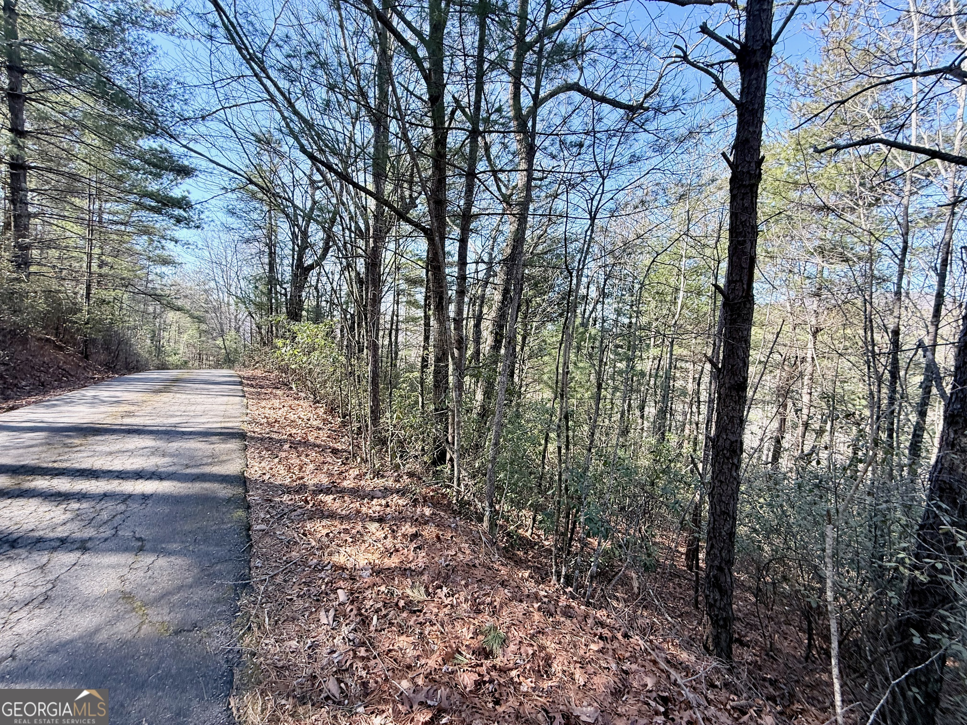0 Rabun Bluffs Drive Property Photo 6