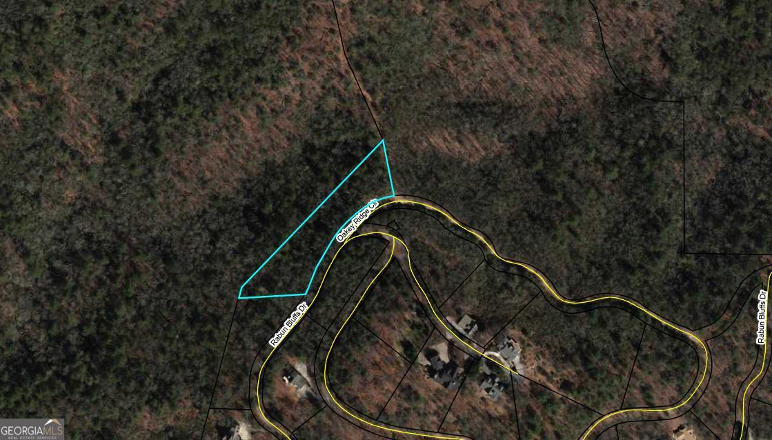 0 Rabun Bluffs Drive Property Photo 7