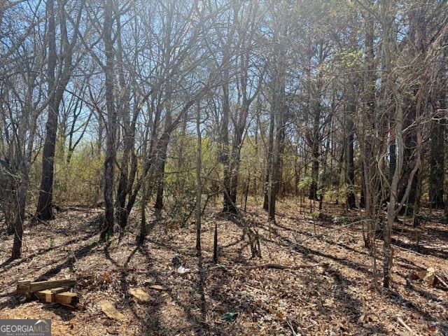 0 Mcdonough Parkway Property Photo 1