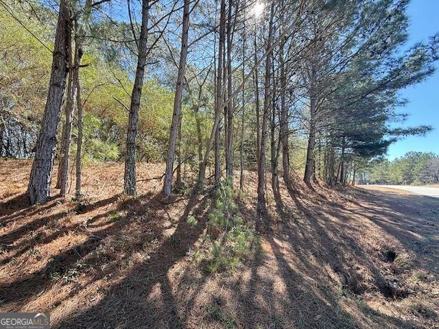 0 Mcdonough Parkway Property Photo 3