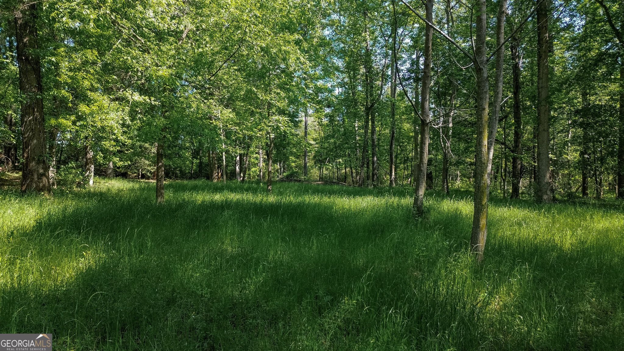 1003 Ga Highway 27 E Property Photo 34