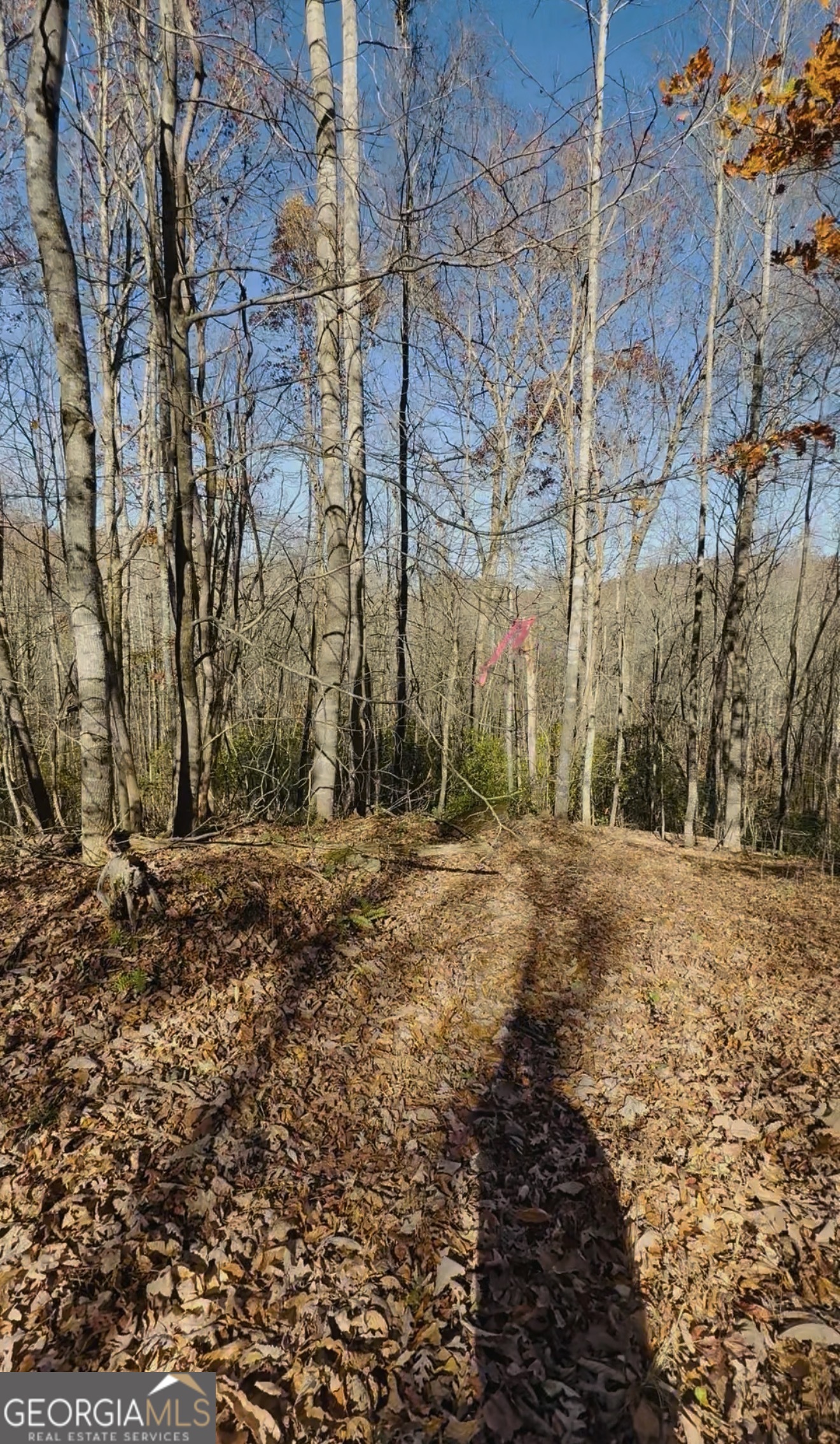 0 Gove Property Photo 1