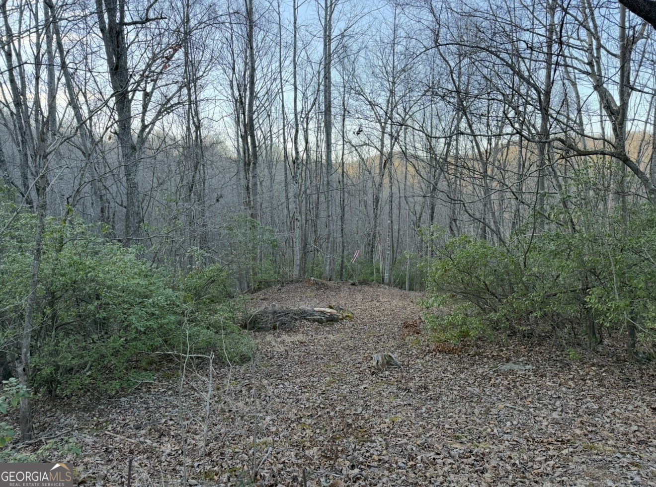 0 Gove Property Photo 3
