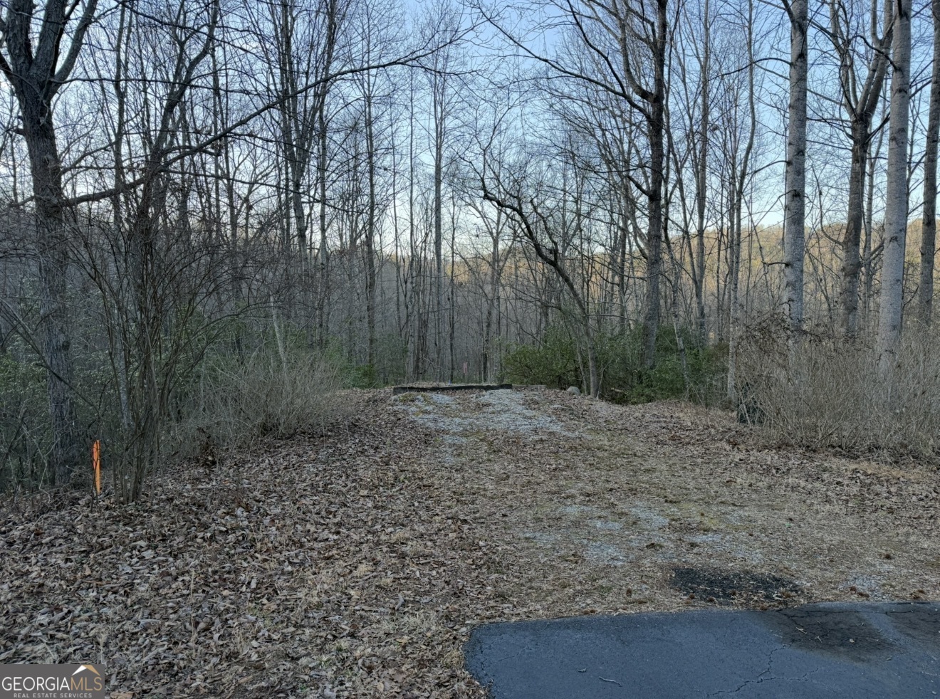 0 Gove Property Photo 4