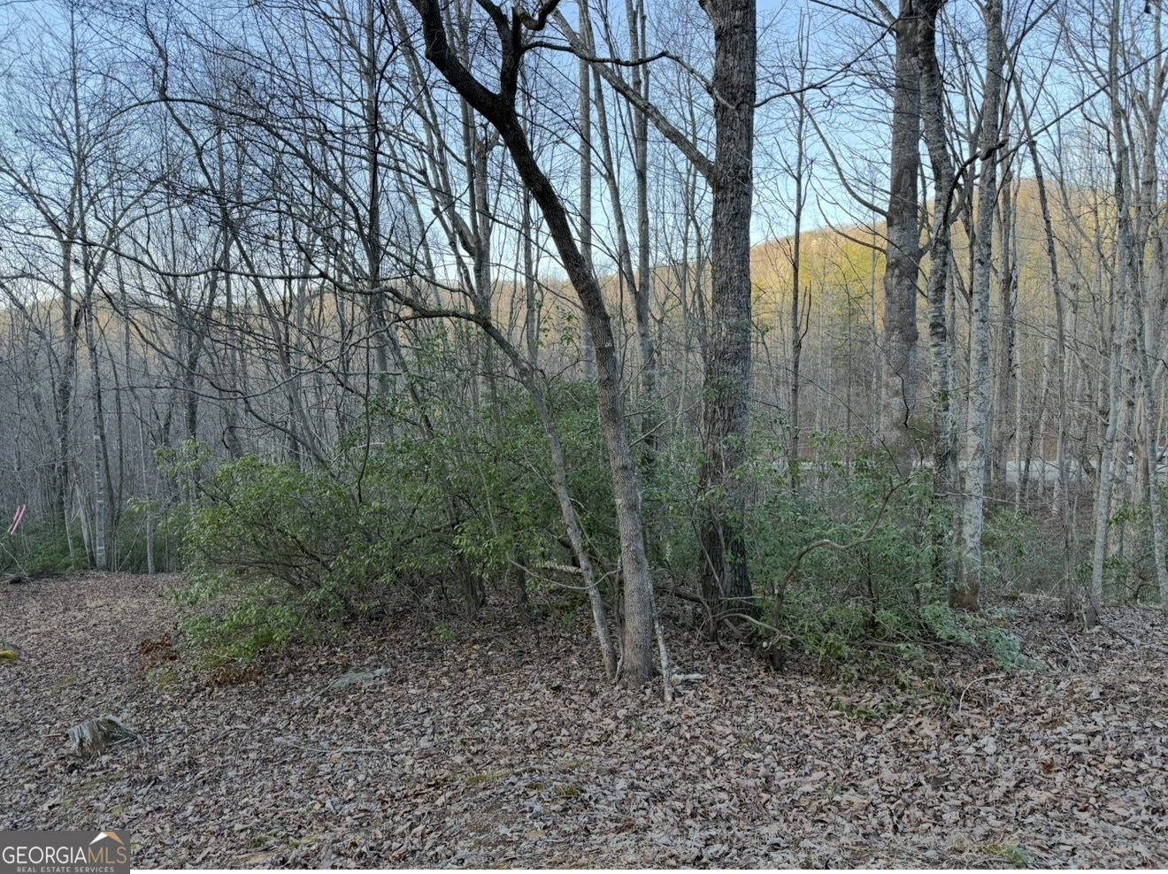 0 Gove Property Photo 5