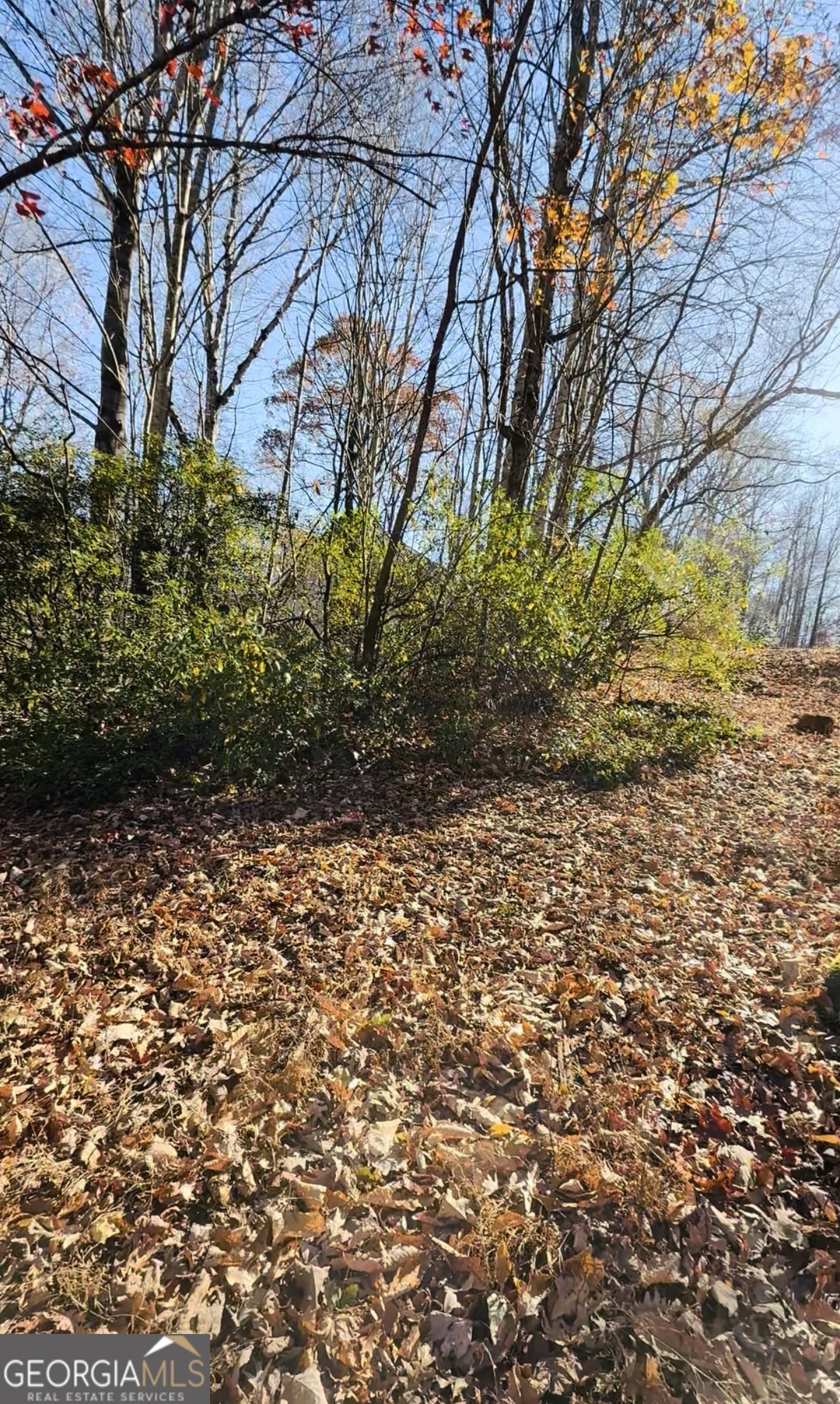 0 Gove Property Photo 8