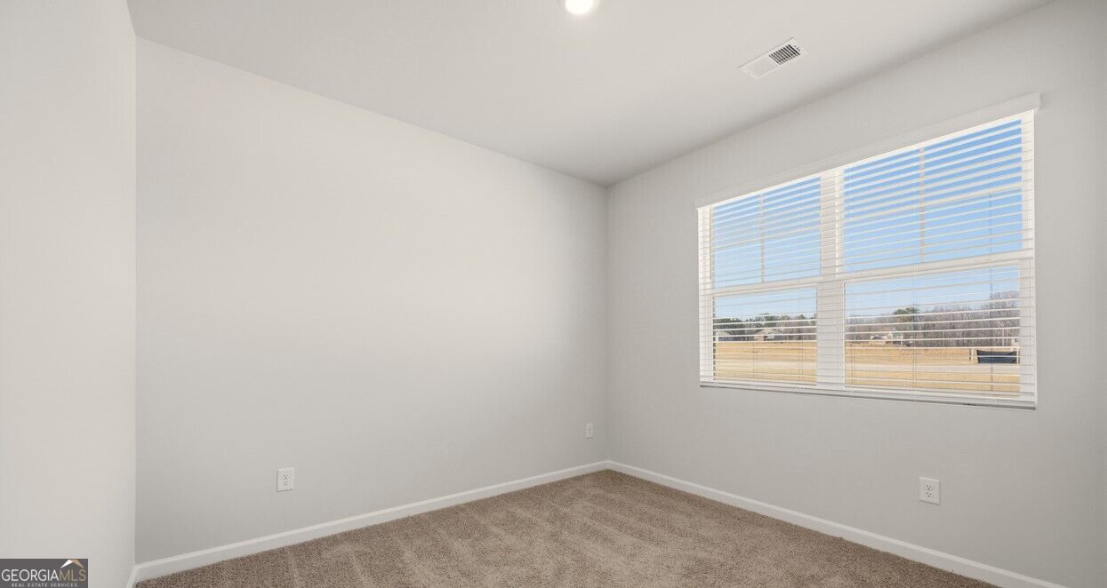515 Alder Lane Court Property Photo 23