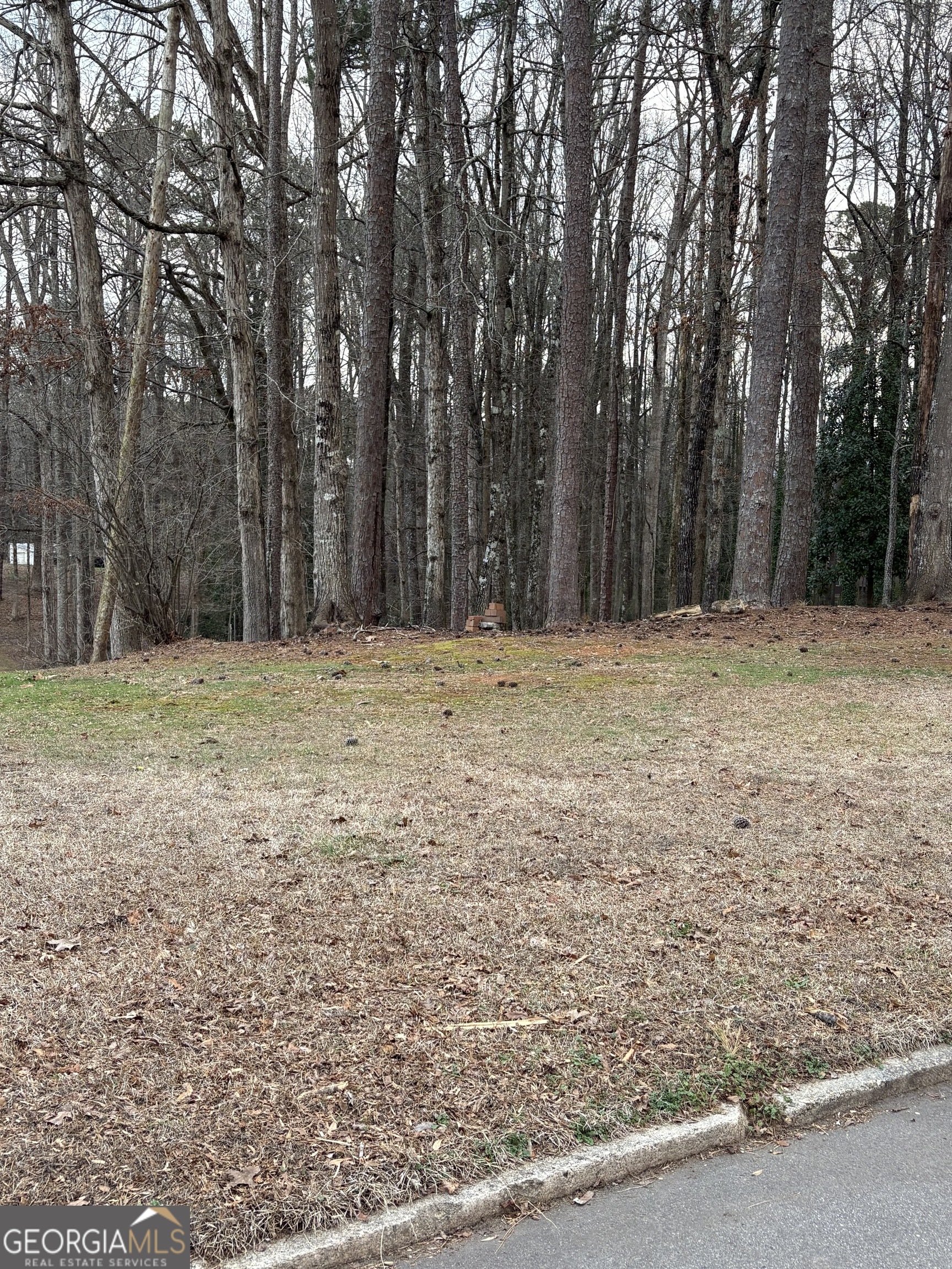 0 Azalea Drive Property Photo 1