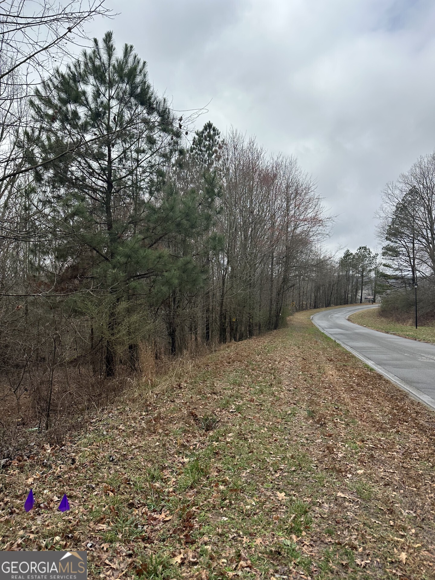 3462 Roy Parks Road Property Photo 4