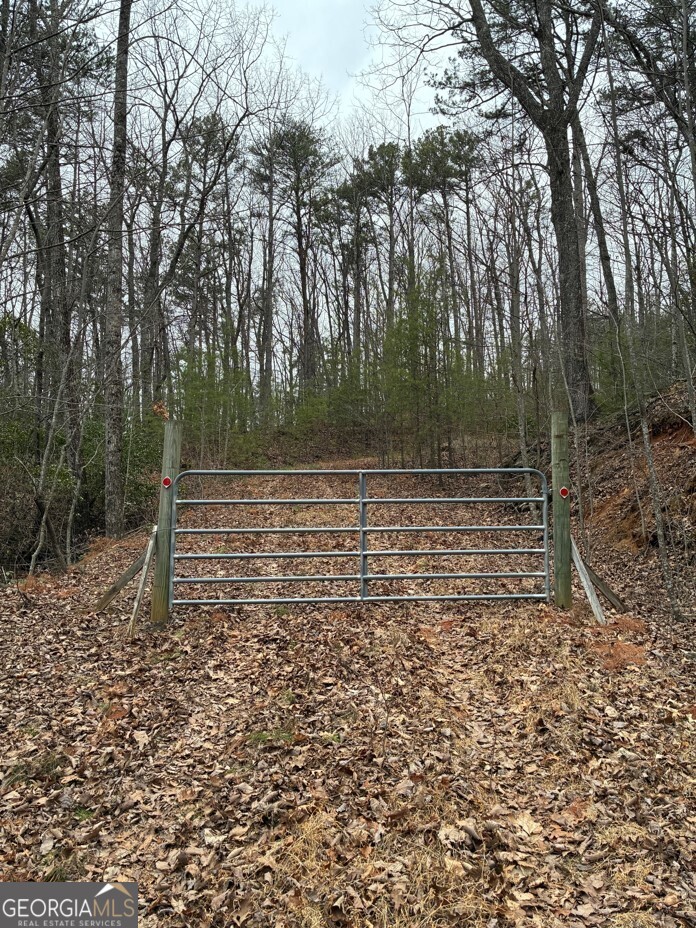 Lots 29a/b Paradise Lane Property Photo 2