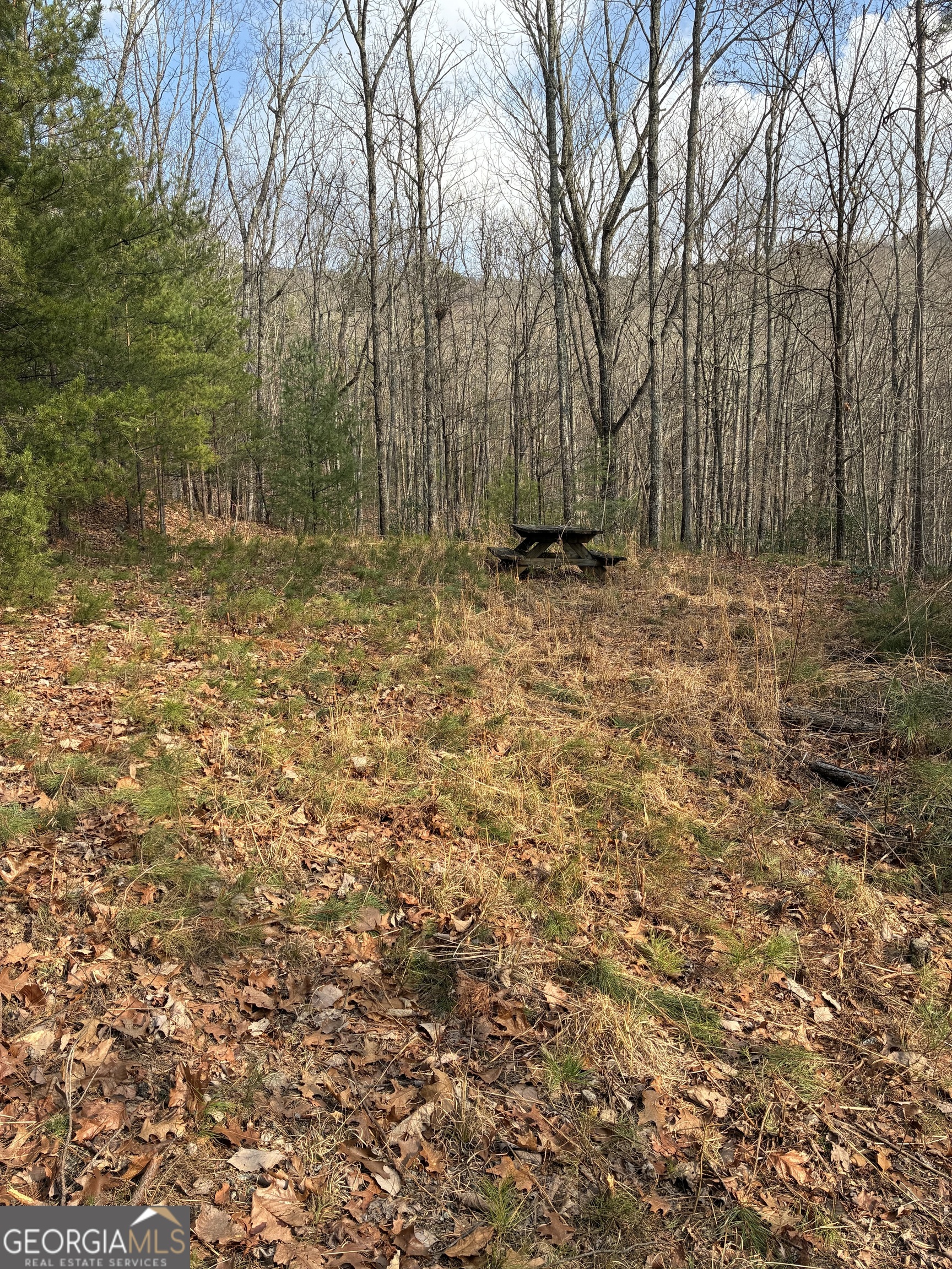 Lots 29a/b Paradise Lane Property Photo 8