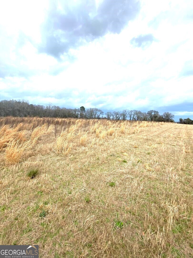 0 Allen Ranch Road Property Photo 2