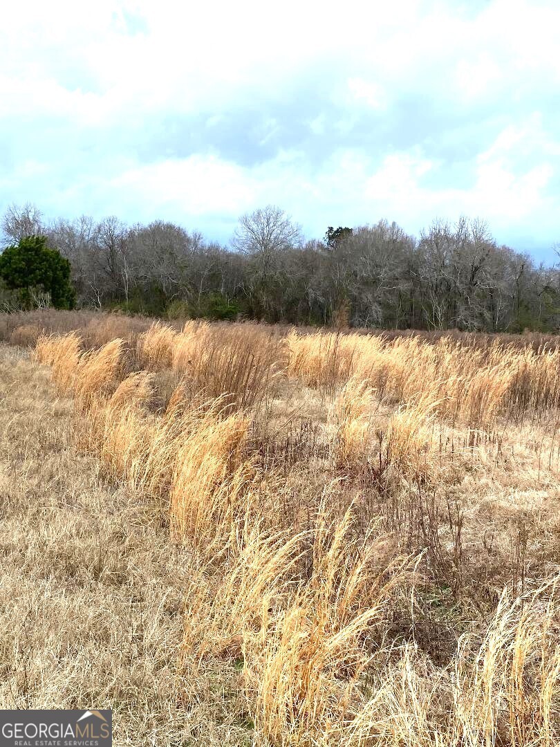 0 Allen Ranch Road Property Photo 3