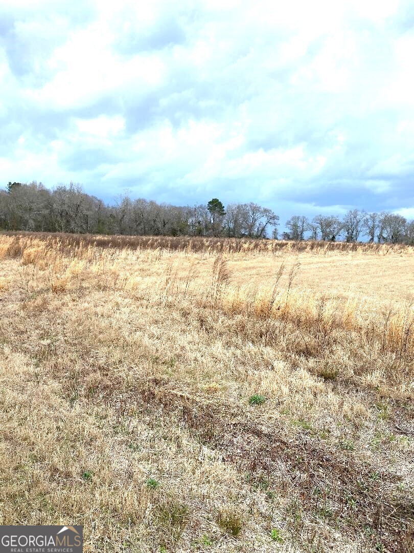 0 Allen Ranch Road Property Photo 4