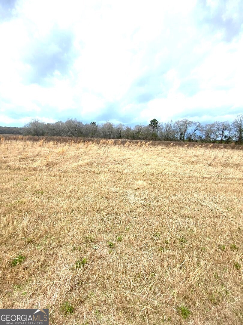 0 Allen Ranch Road Property Photo 6