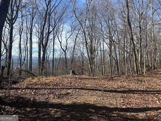 257 Andes Ridge Property Photo 6