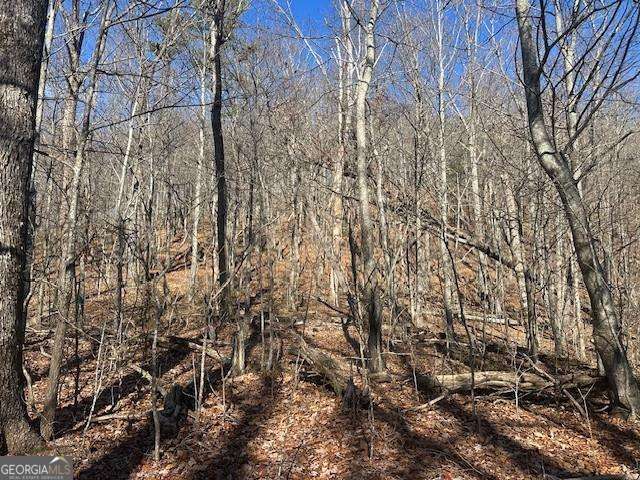 257 Andes Ridge Property Photo 7