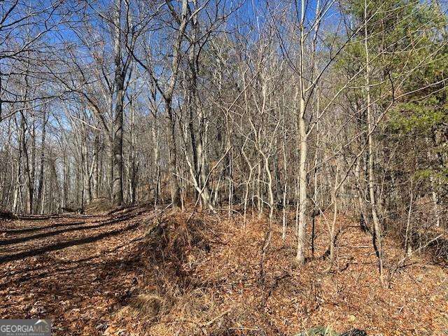 257 Andes Ridge Property Photo 9