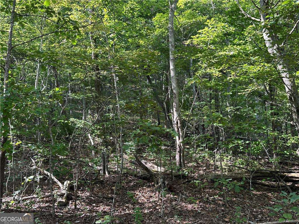 257 Andes Ridge Property Photo 14