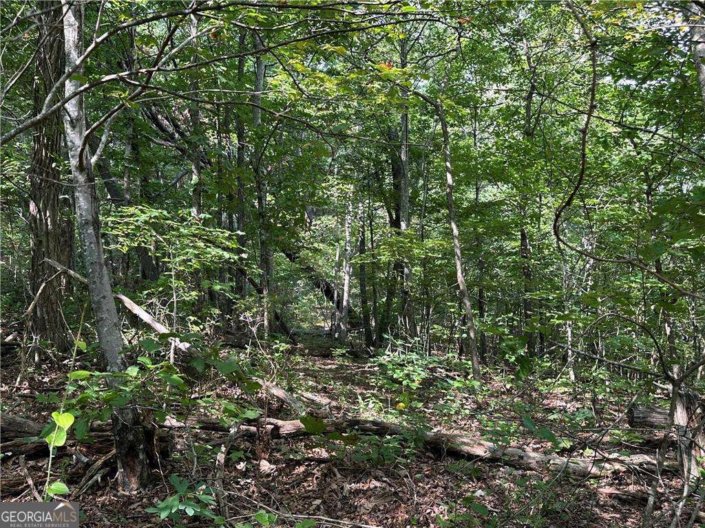 257 Andes Ridge Property Photo 15