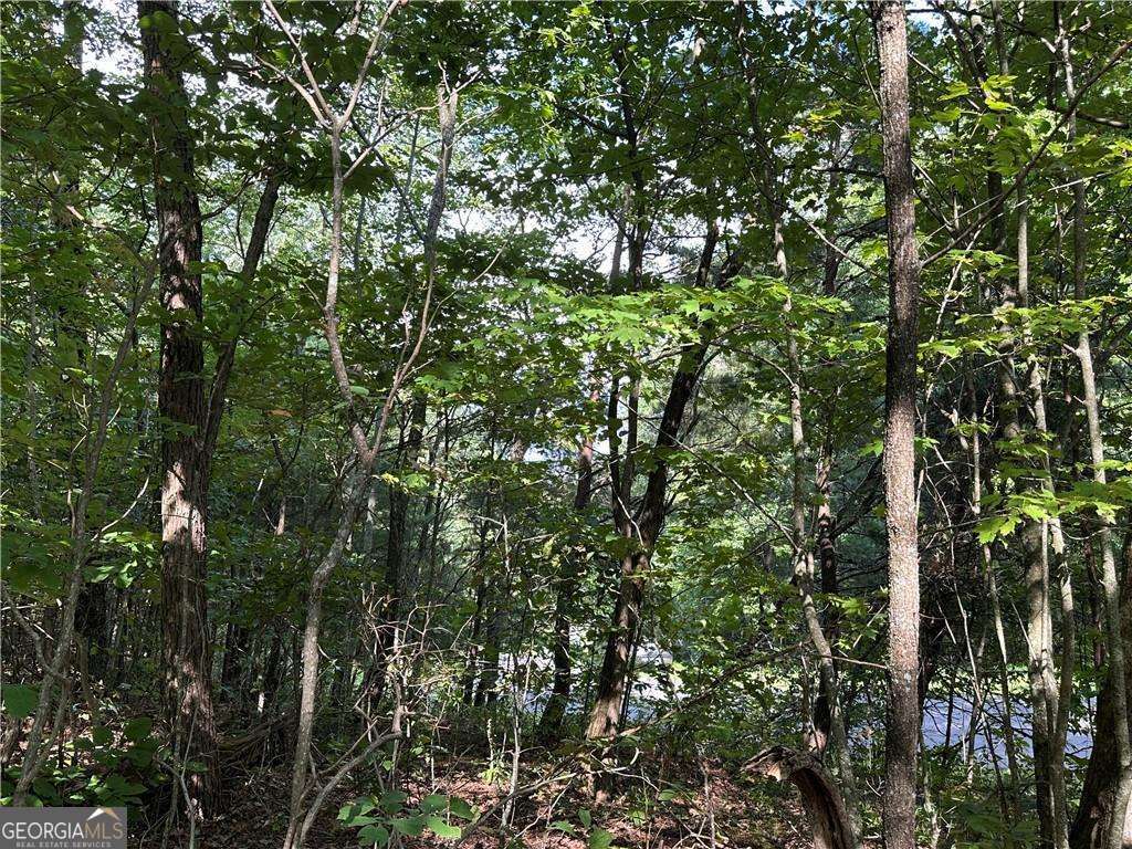 257 Andes Ridge Property Photo 16