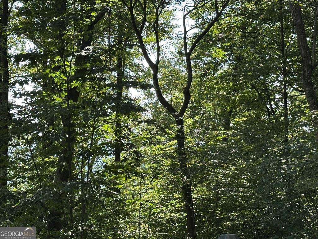 257 Andes Ridge Property Photo 17
