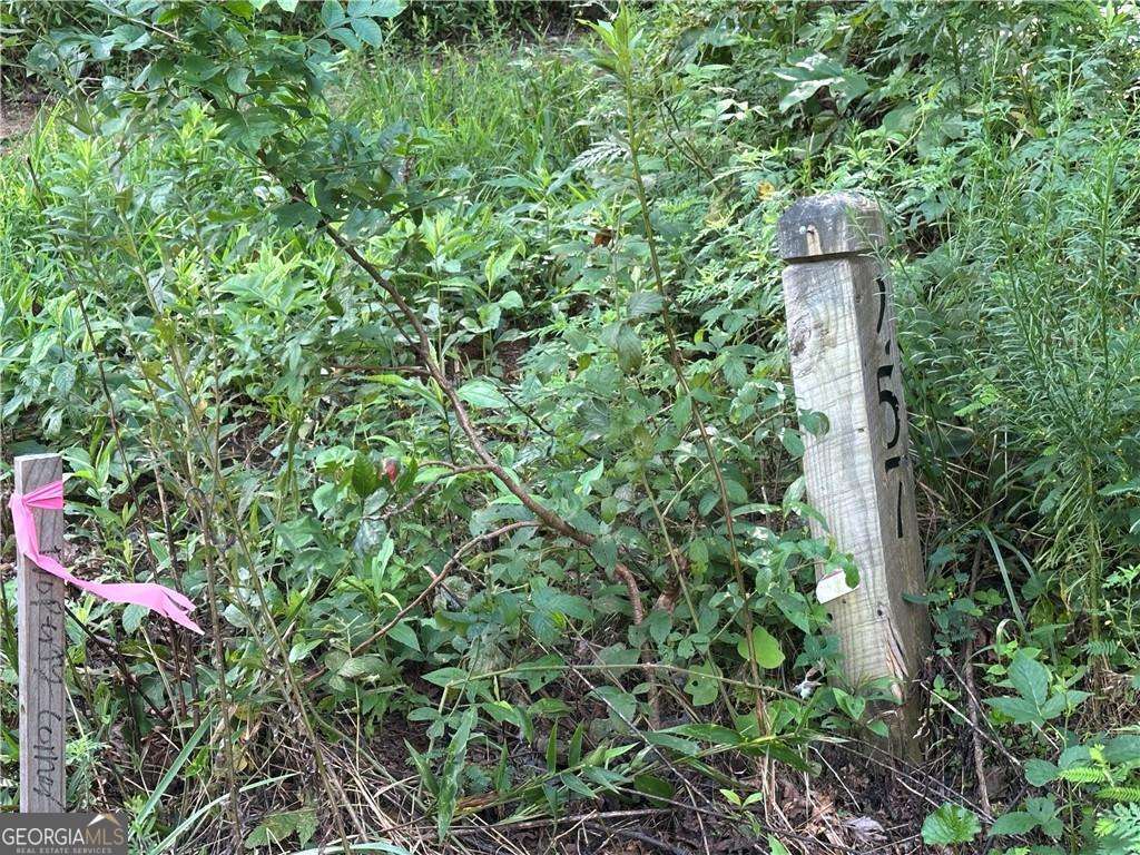 257 Andes Ridge Property Photo 18