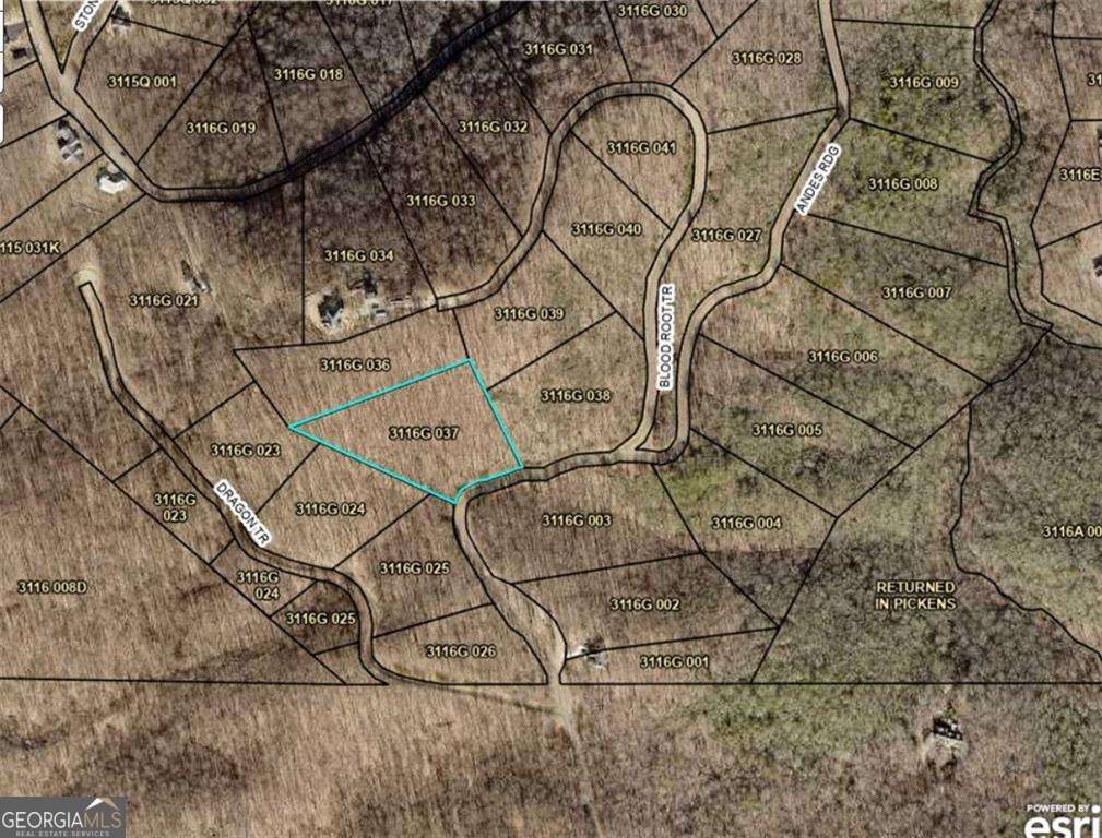 257 Andes Ridge Property Photo 19