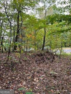 257 Andes Ridge Property Photo 21