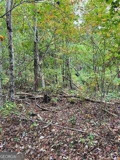 257 Andes Ridge Property Photo 22