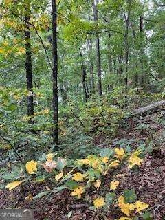 257 Andes Ridge Property Photo 23