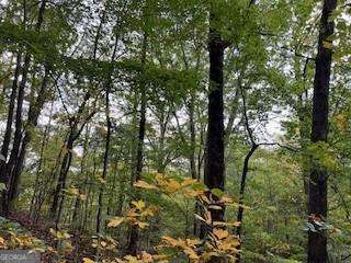 257 Andes Ridge Property Photo 24