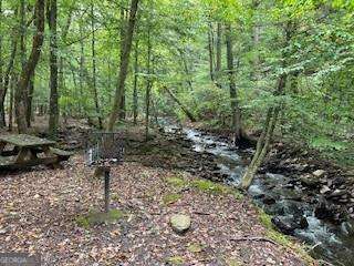 257 Andes Ridge Property Photo 25
