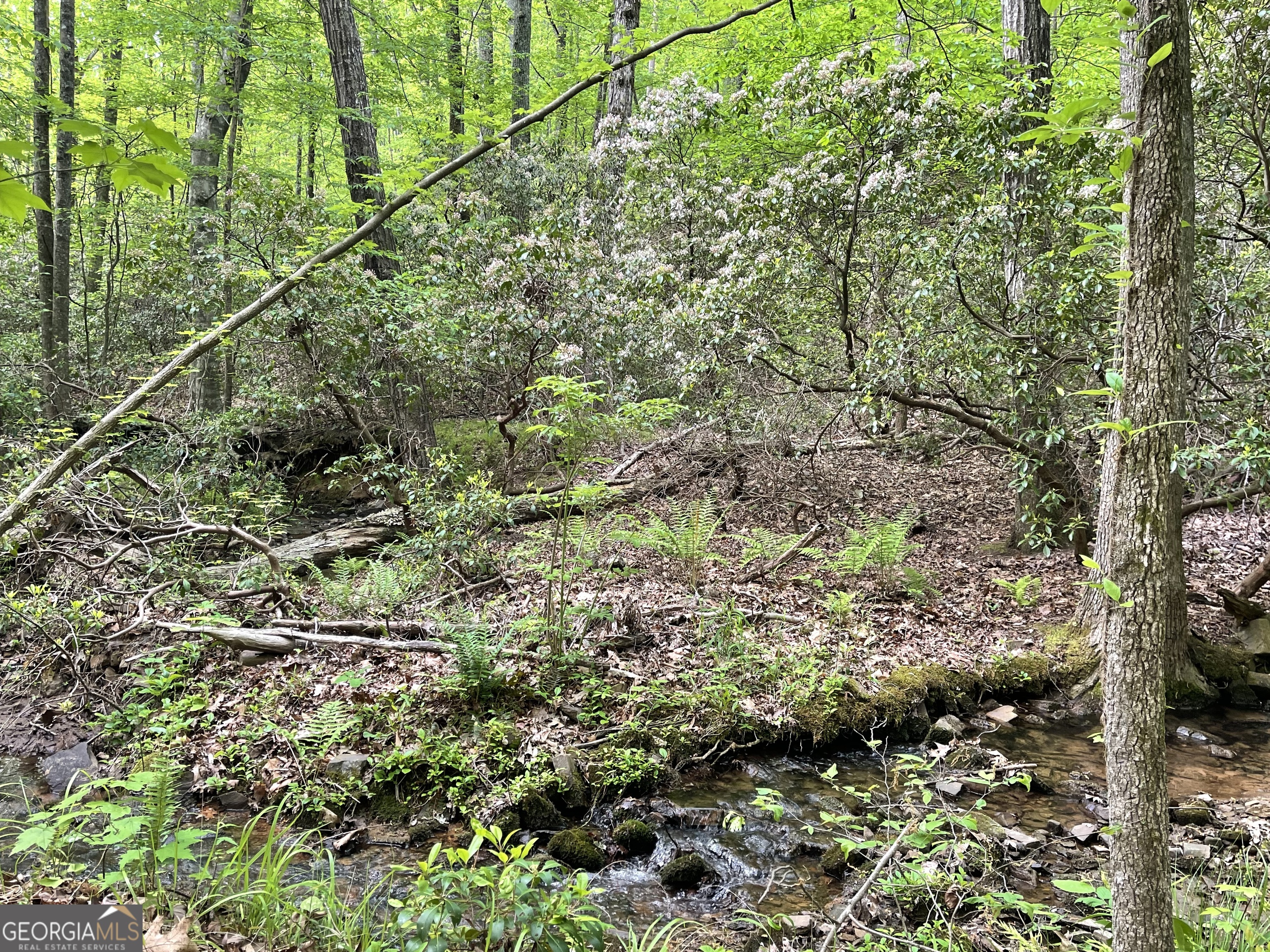 0 Everett Springs Road Property Photo 10