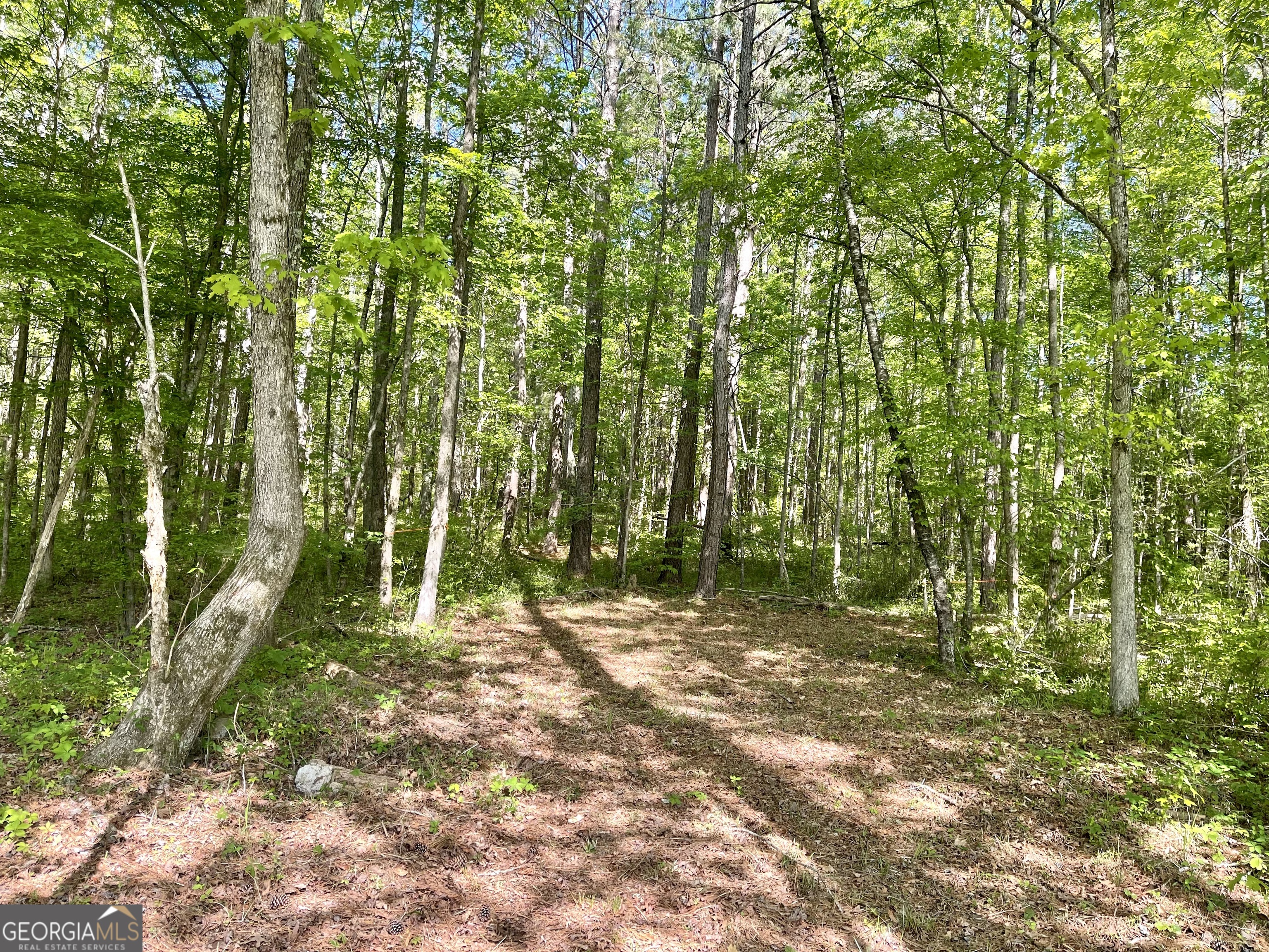 0 Everett Springs Road Property Photo 16
