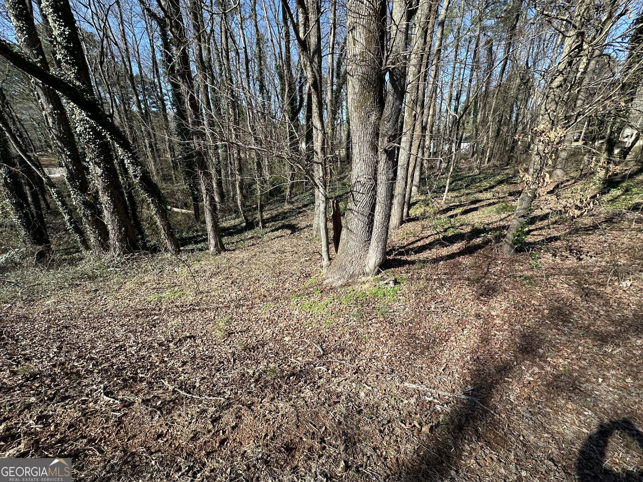 2730 E 166 Highway E Property Photo 5