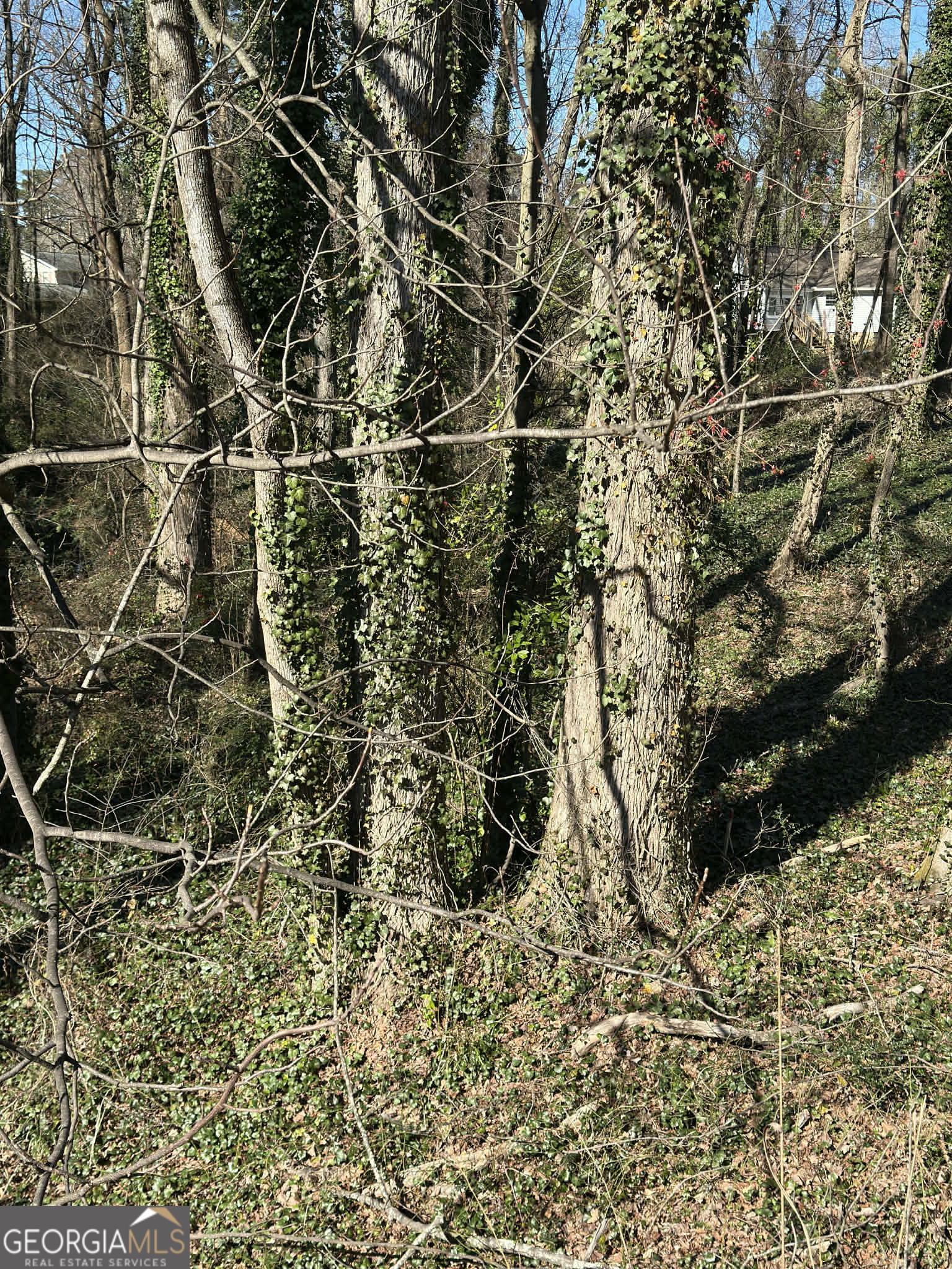 2730 E 166 Highway E Property Photo 7
