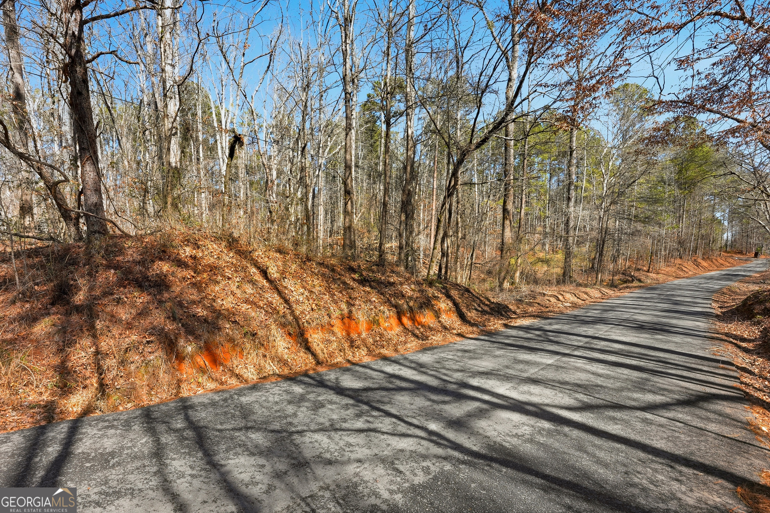 0 Pickett Bridge Road Property Photo 1
