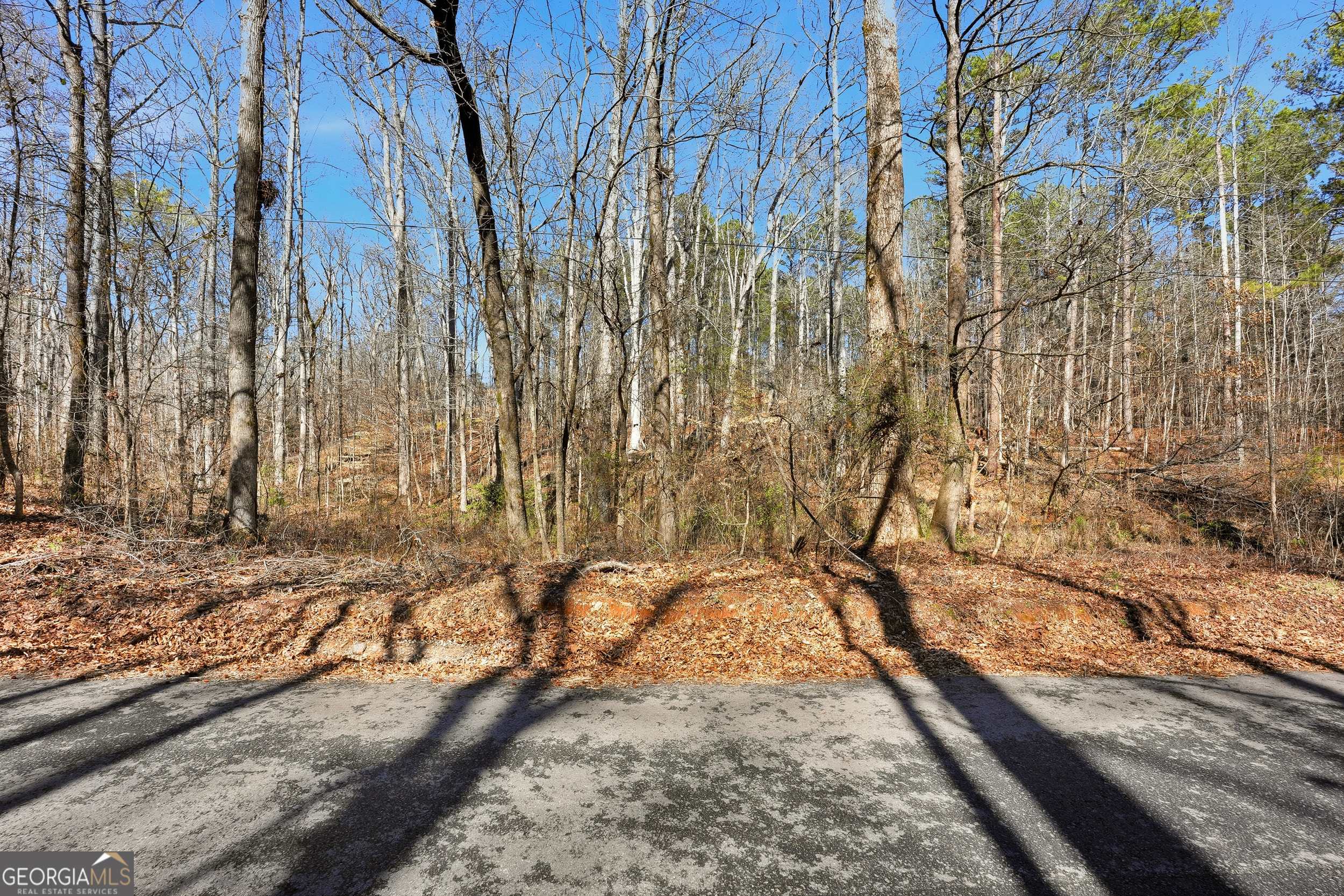 0 Pickett Bridge Road Property Photo 8