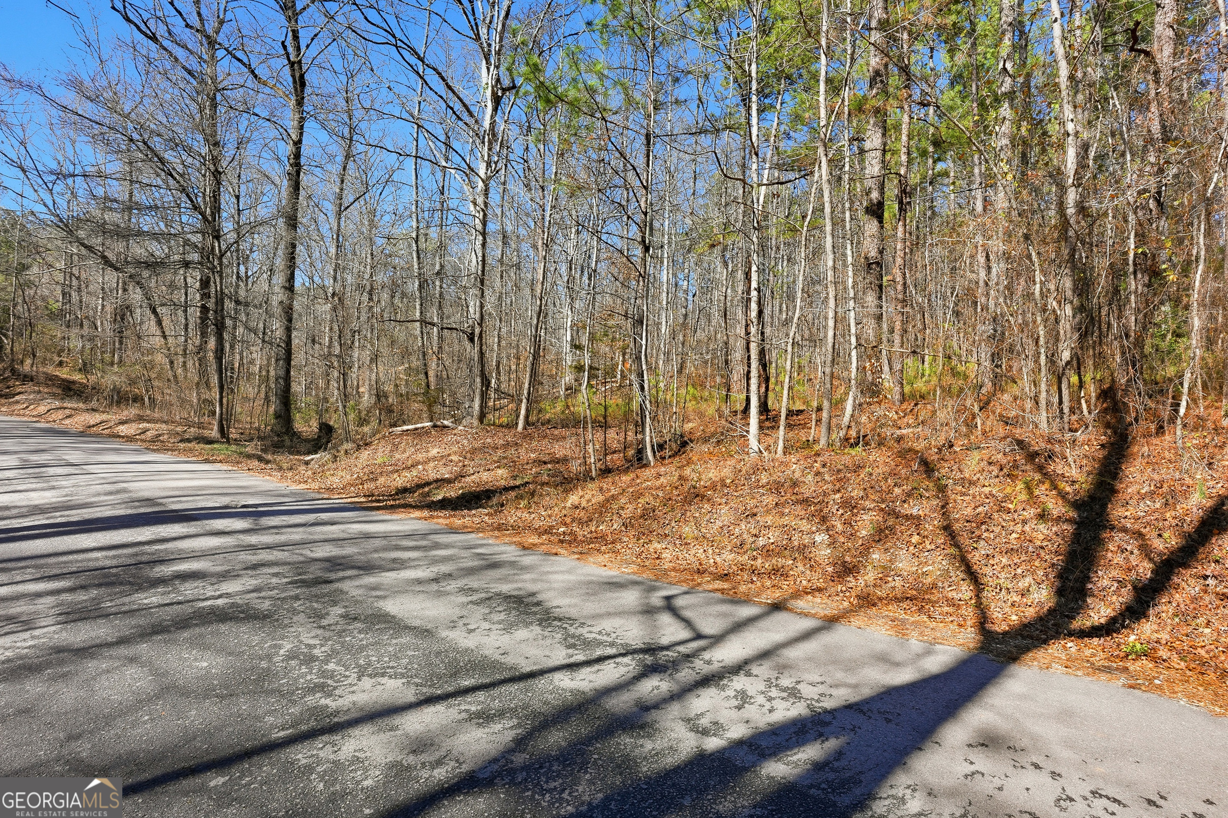 0 Pickett Bridge Road Property Photo 9