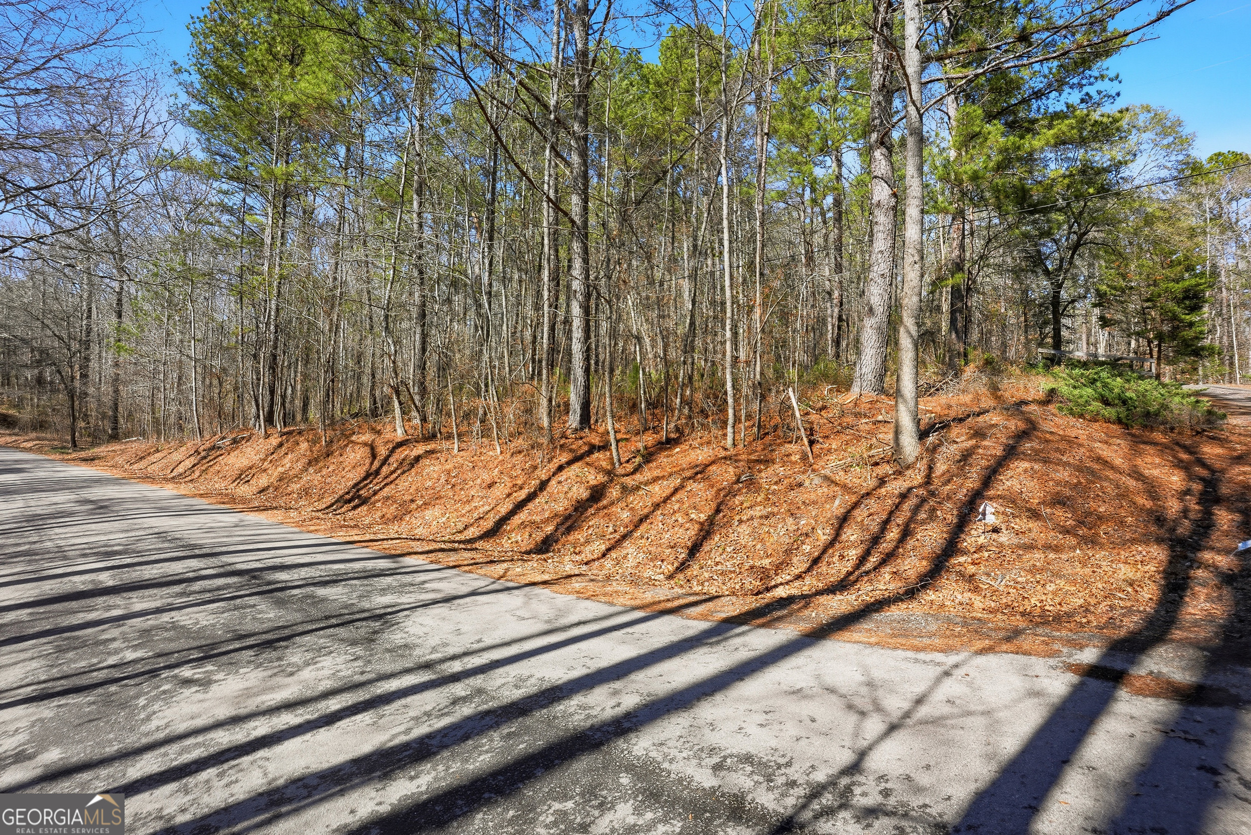 0 Pickett Bridge Road Property Photo 10