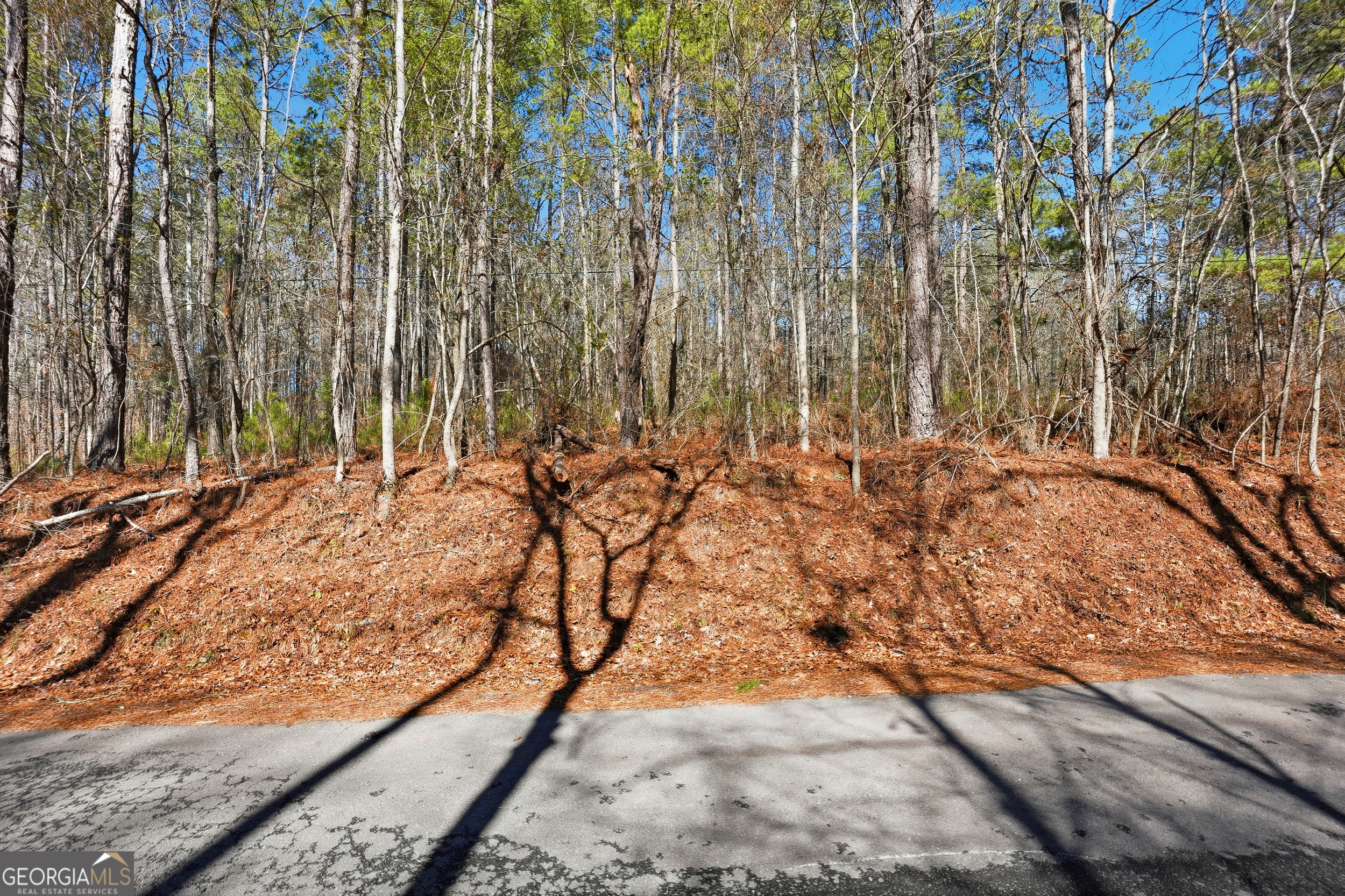 0 Pickett Bridge Road Property Photo 11