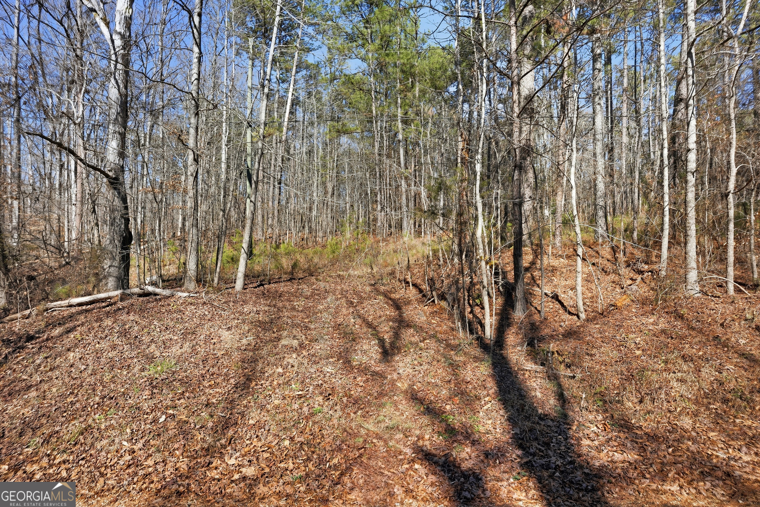0 Pickett Bridge Road Property Photo 12