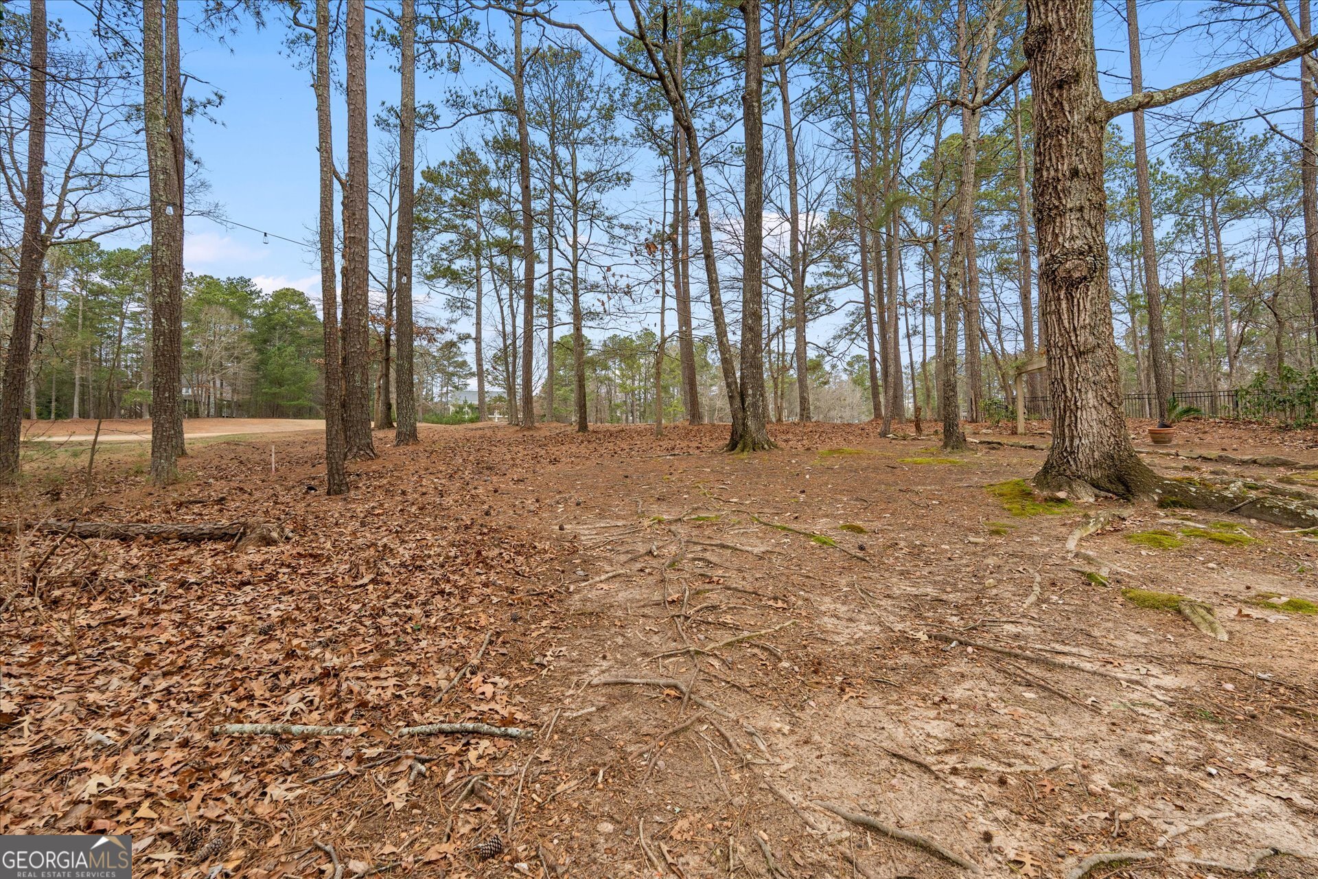 7349 S Mitchell Court Property Photo 50