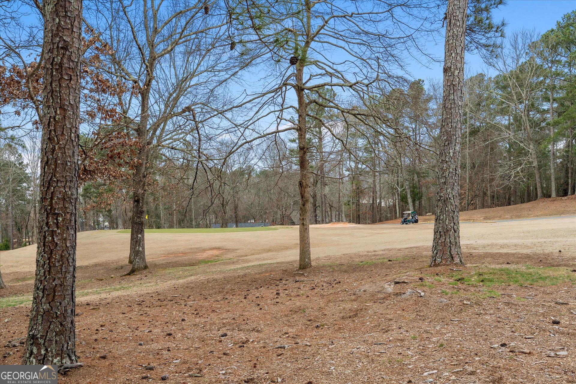 7349 S Mitchell Court Property Photo 53