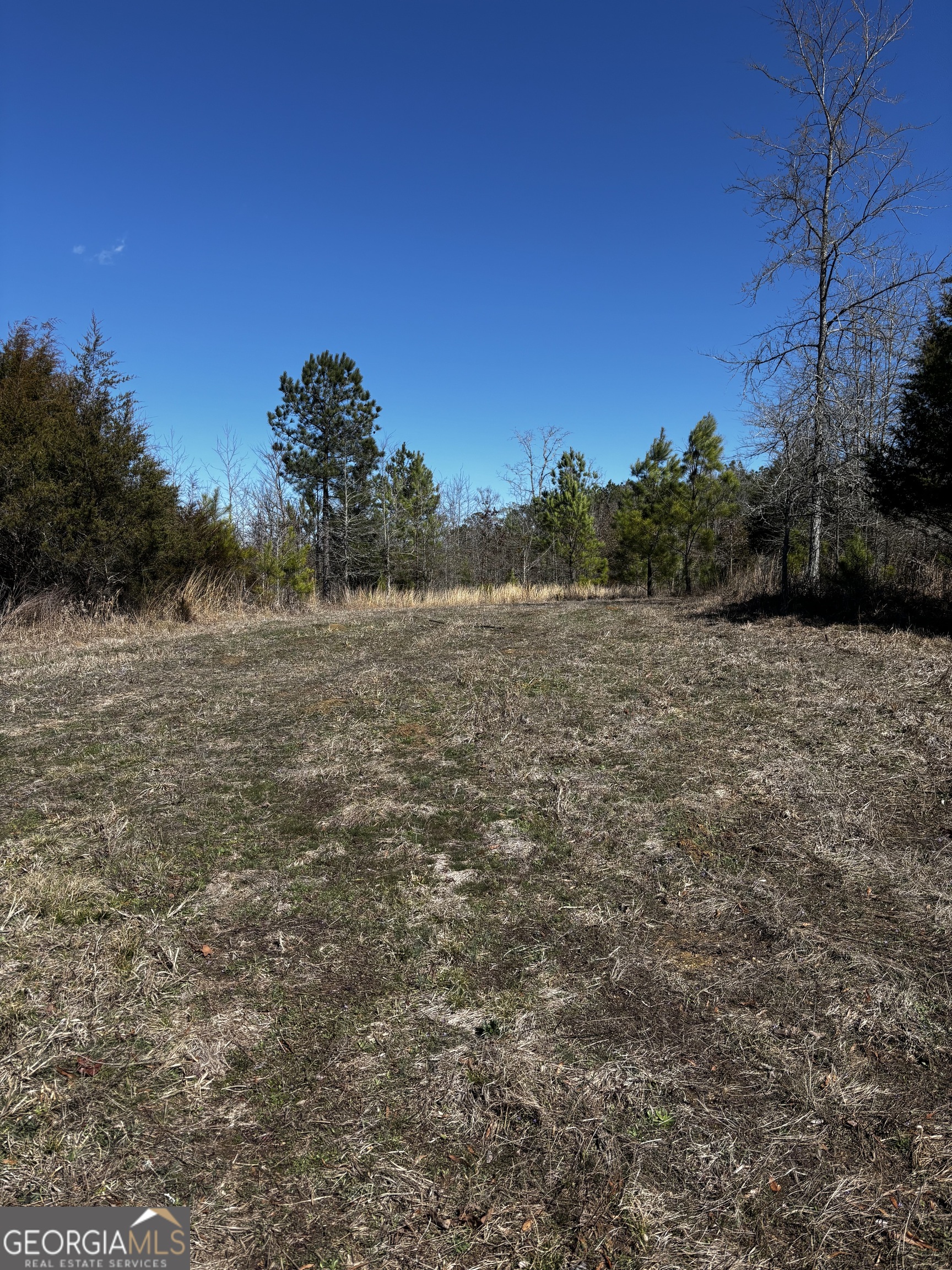 0 Thaxton Road Property Photo 5